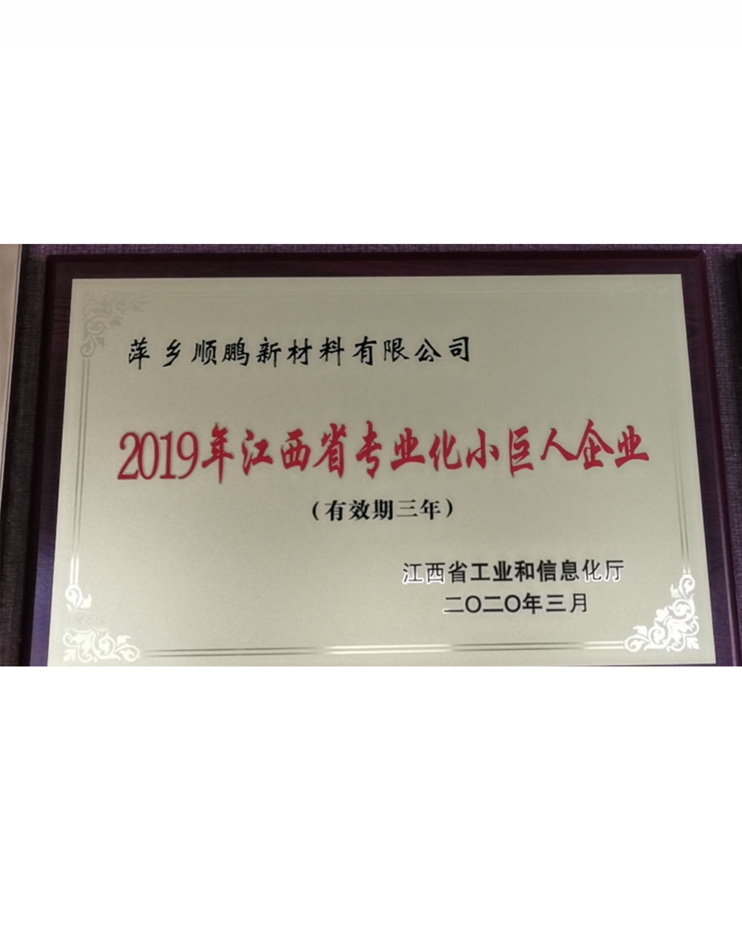 江西省專業化小巨人企業